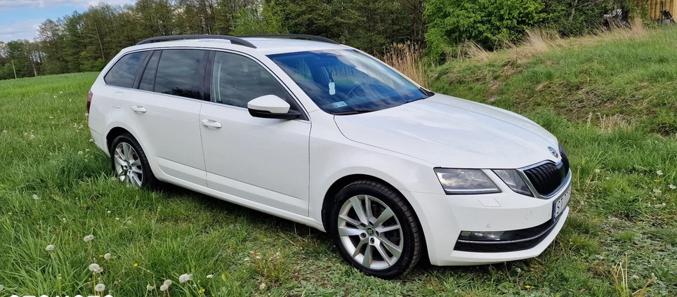 Skoda Octavia cena 90000 przebieg: 300000, rok produkcji 2019 z Mikołów małe 254